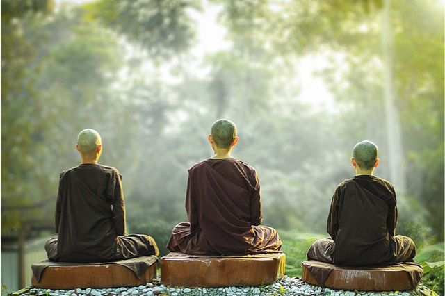 three Buddhist monks meditating from behind in a forest